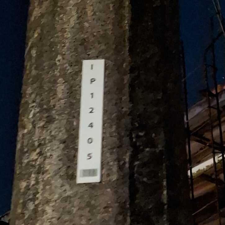 Imagem da publicação