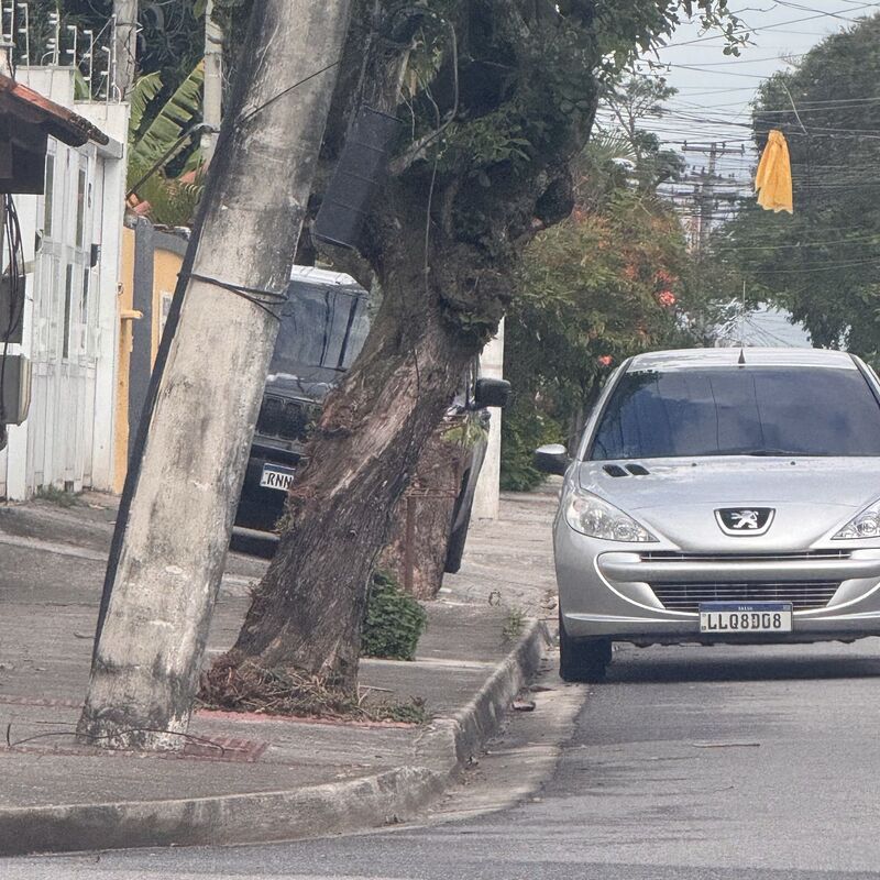 Imagem da publicação