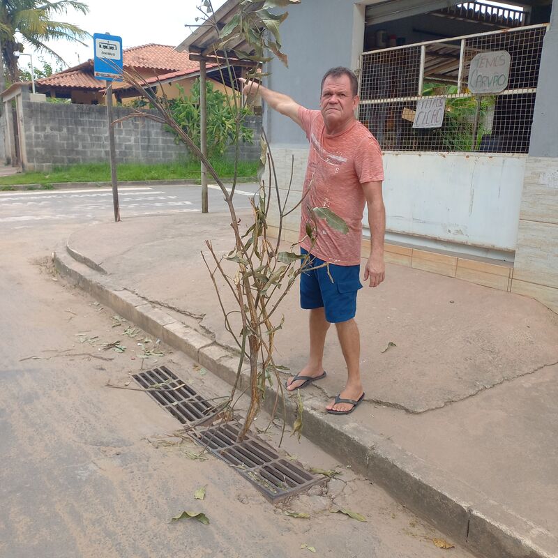 Imagem da publicação