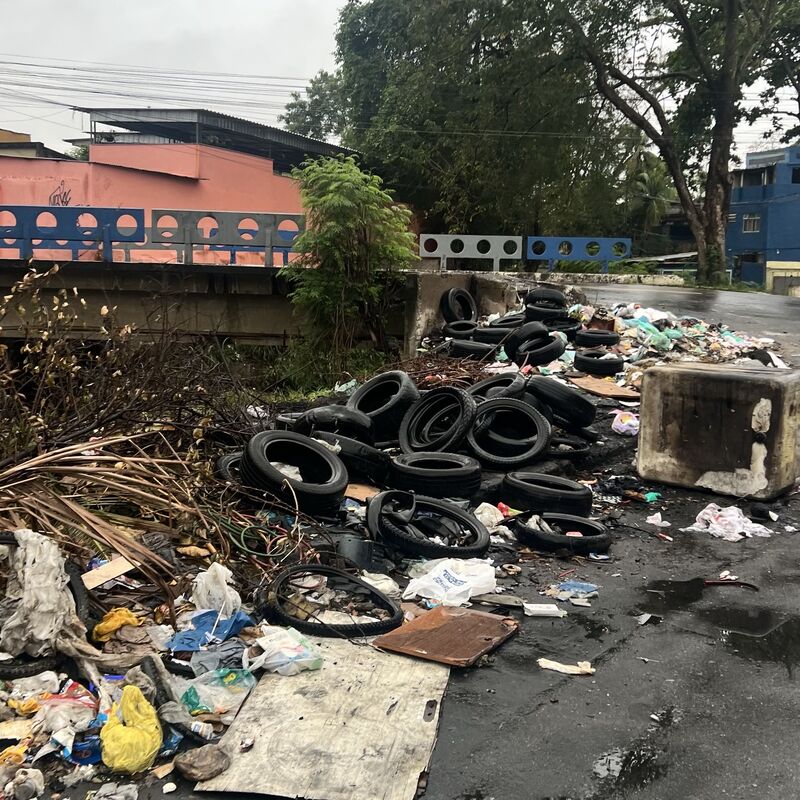 Imagem da publicação