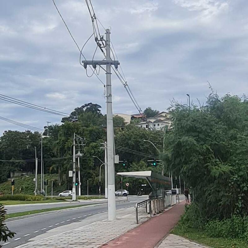 Imagem da publicação