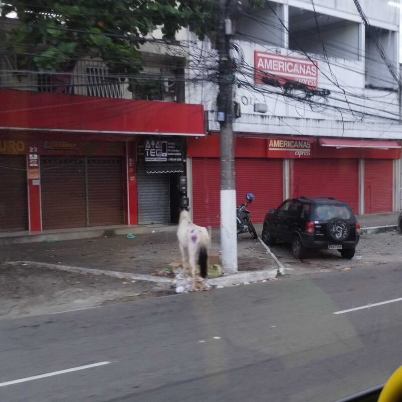 Imagem da publicação