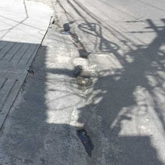 Imagem da publicação