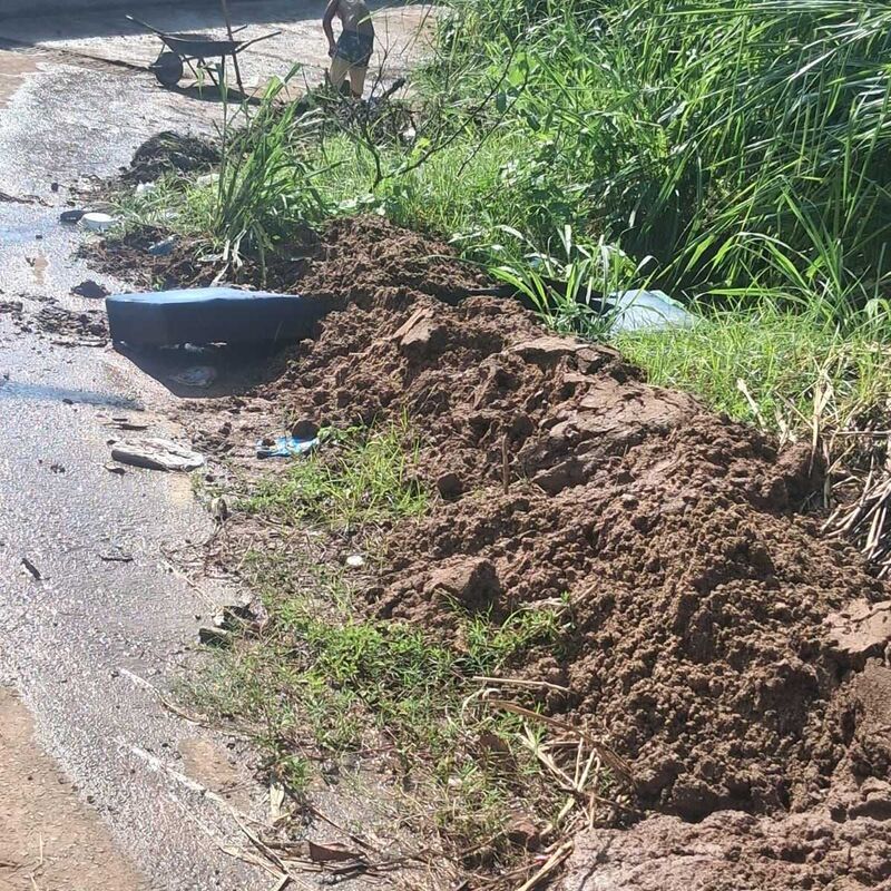 Imagem da publicação