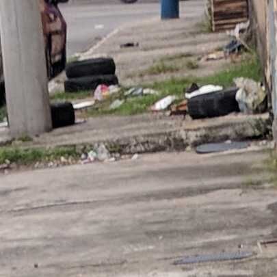 Imagem da publicação