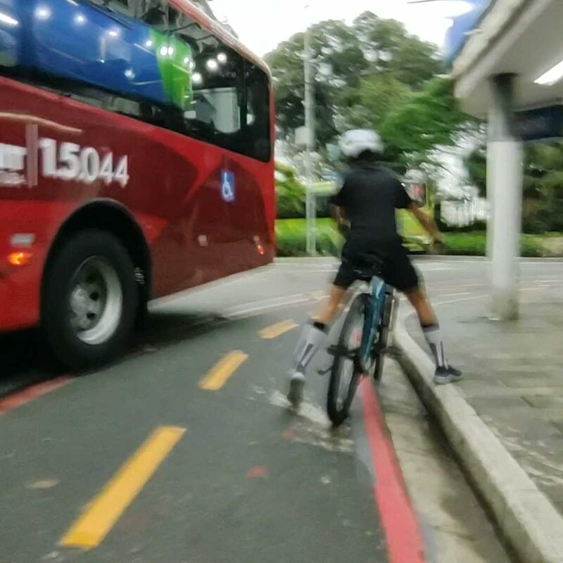 Imagem da publicação