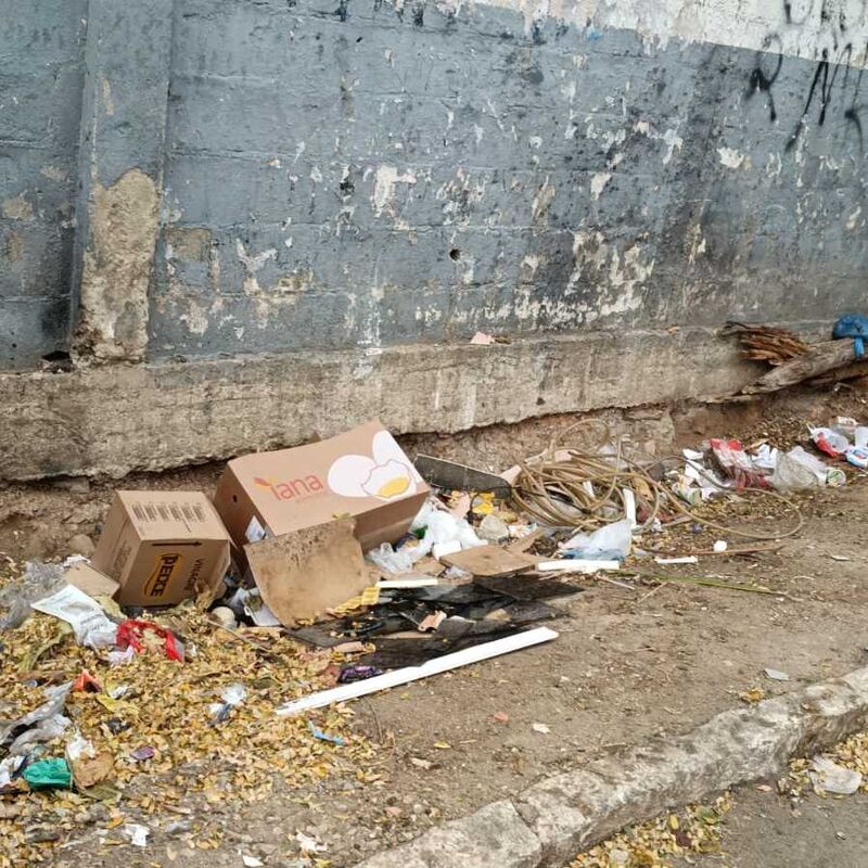 Imagem da publicação