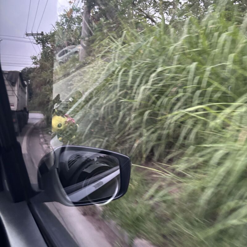 Imagem da publicação