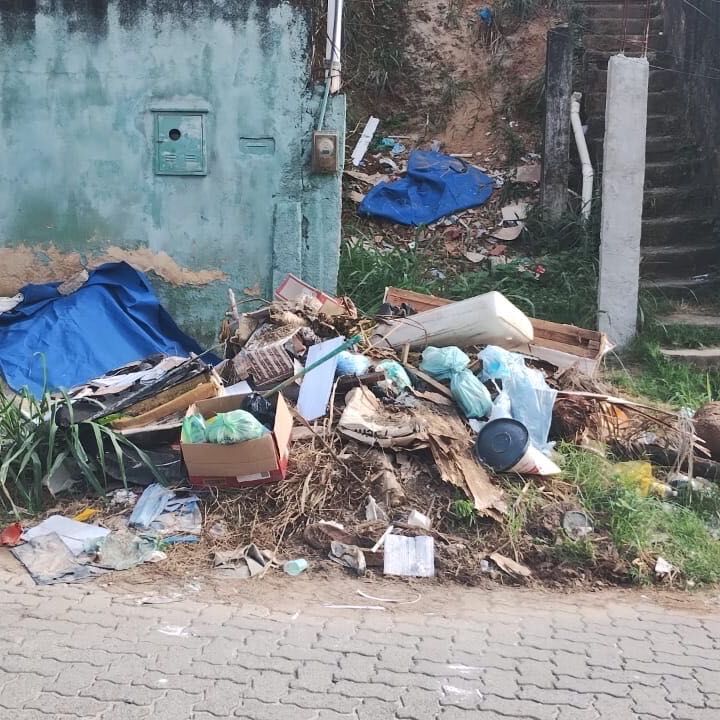 Imagem da publicação