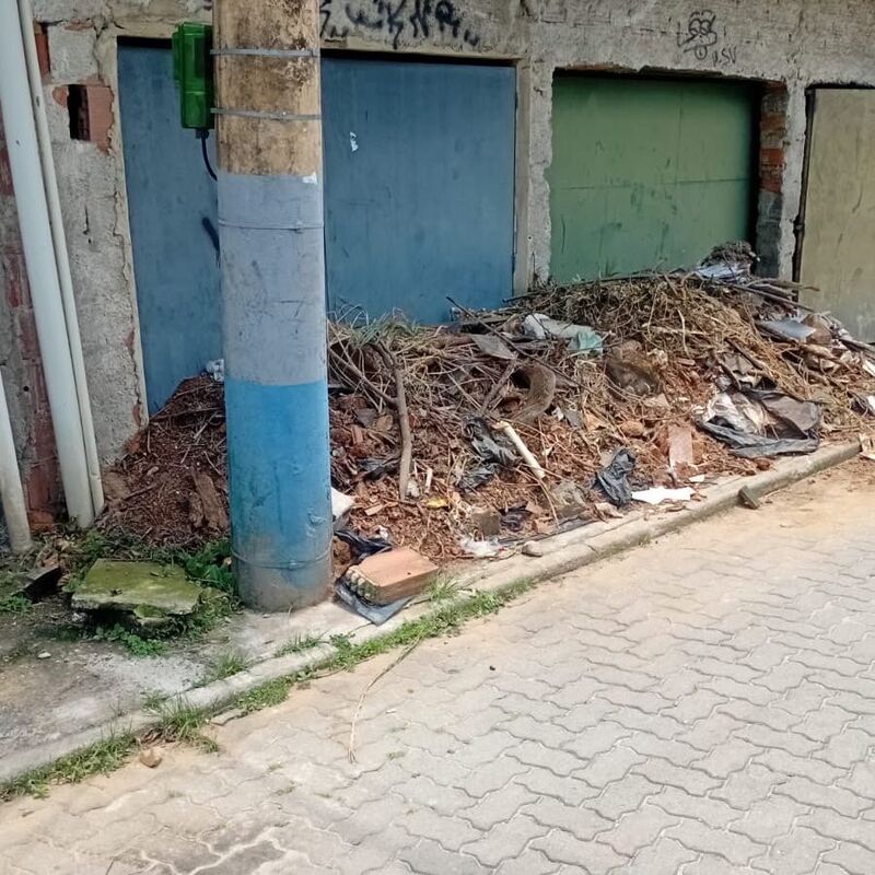 Imagem da publicação