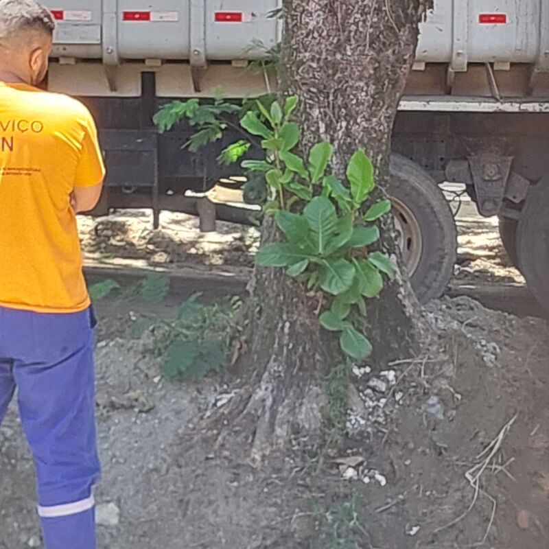 Imagem da publicação