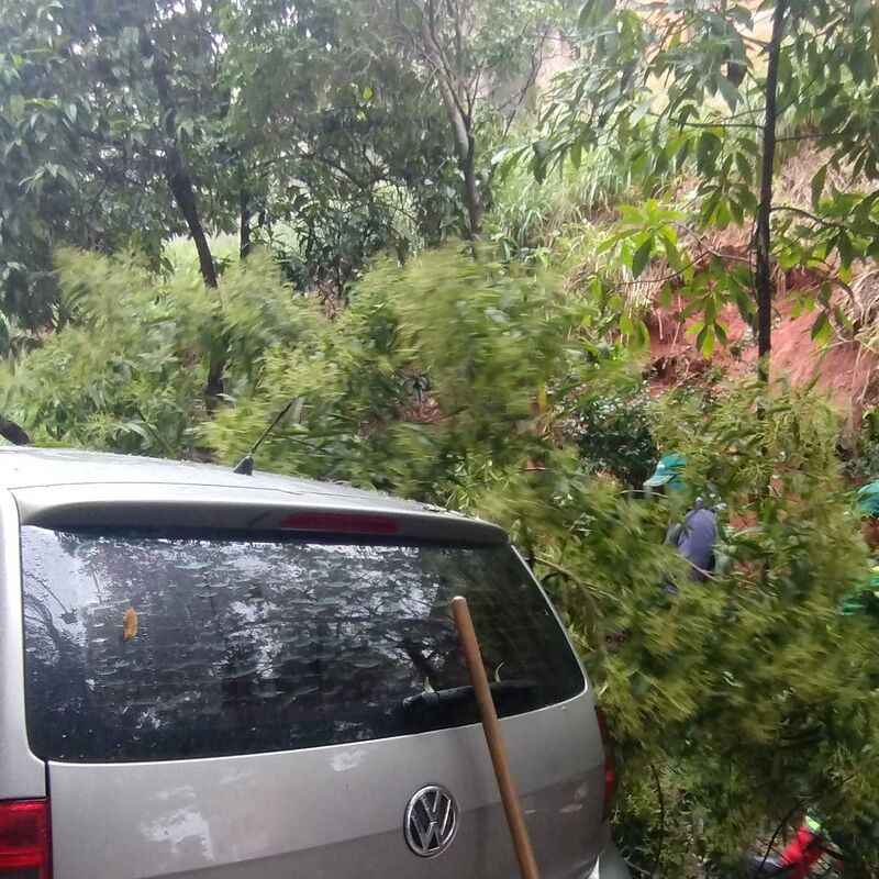 Imagem da publicação