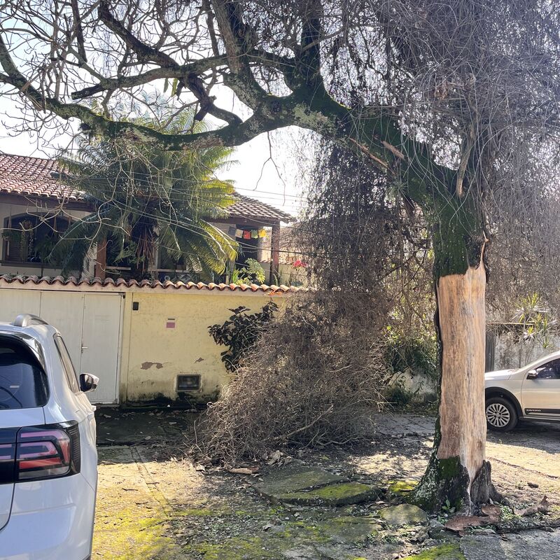 Imagem da publicação