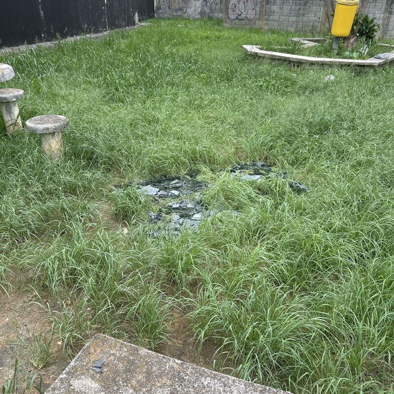 Imagem da publicação