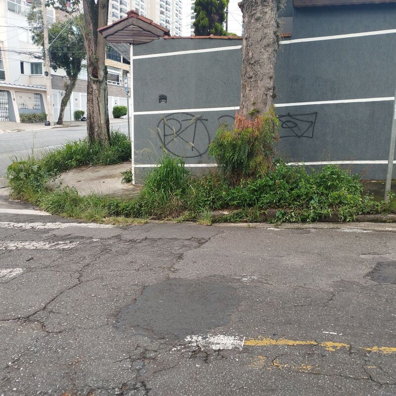 Imagem da publicação