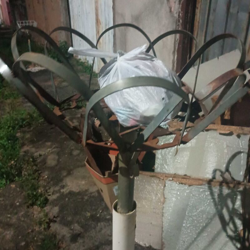 Imagem da publicação