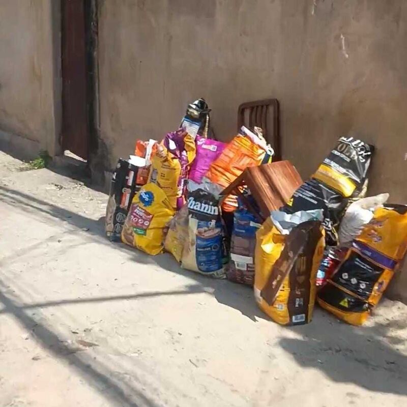 Imagem da publicação