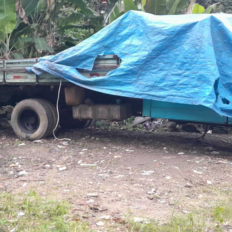 Imagem da publicação