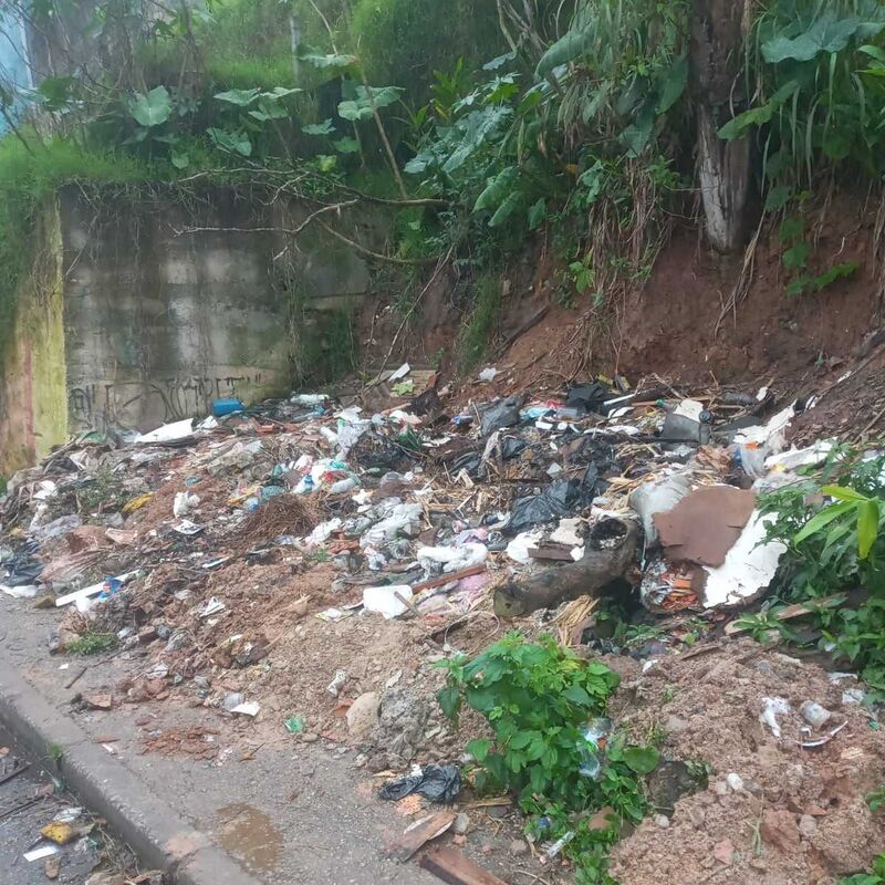 Imagem da publicação