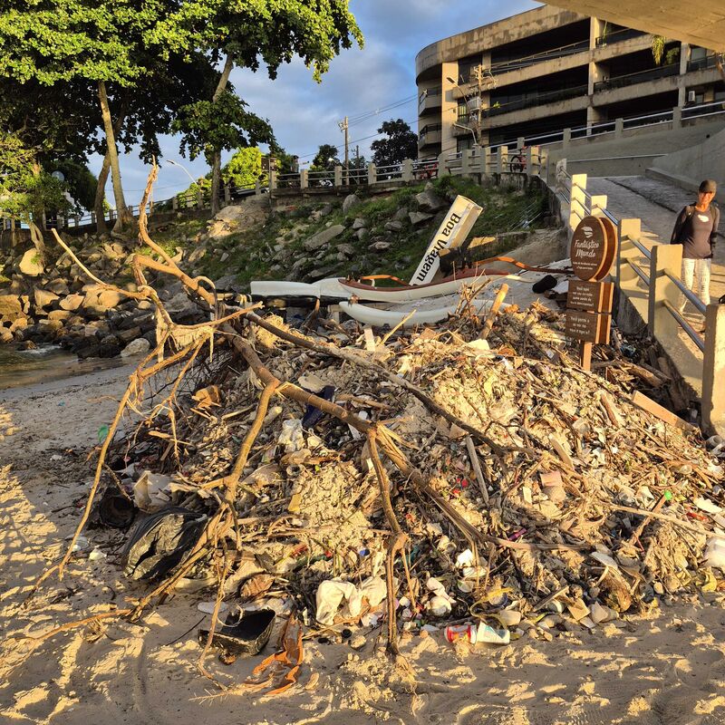 Imagem da publicação