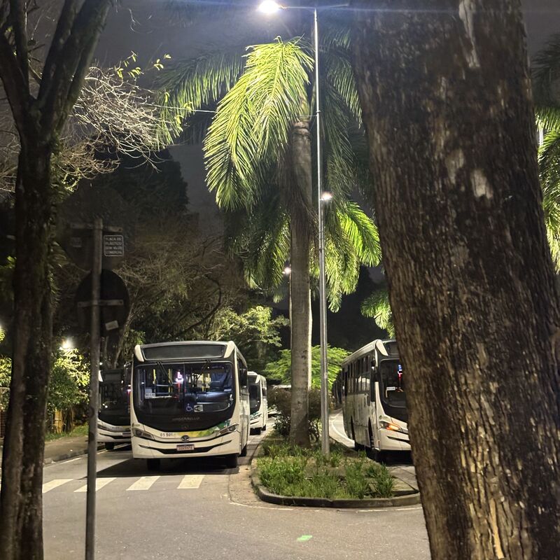 Imagem da publicação