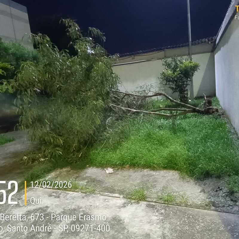 Imagem da publicação