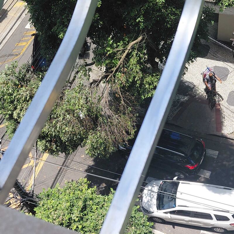 Imagem da publicação