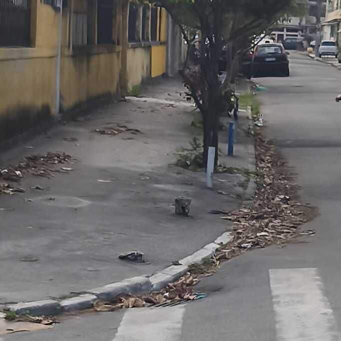 Imagem da publicação