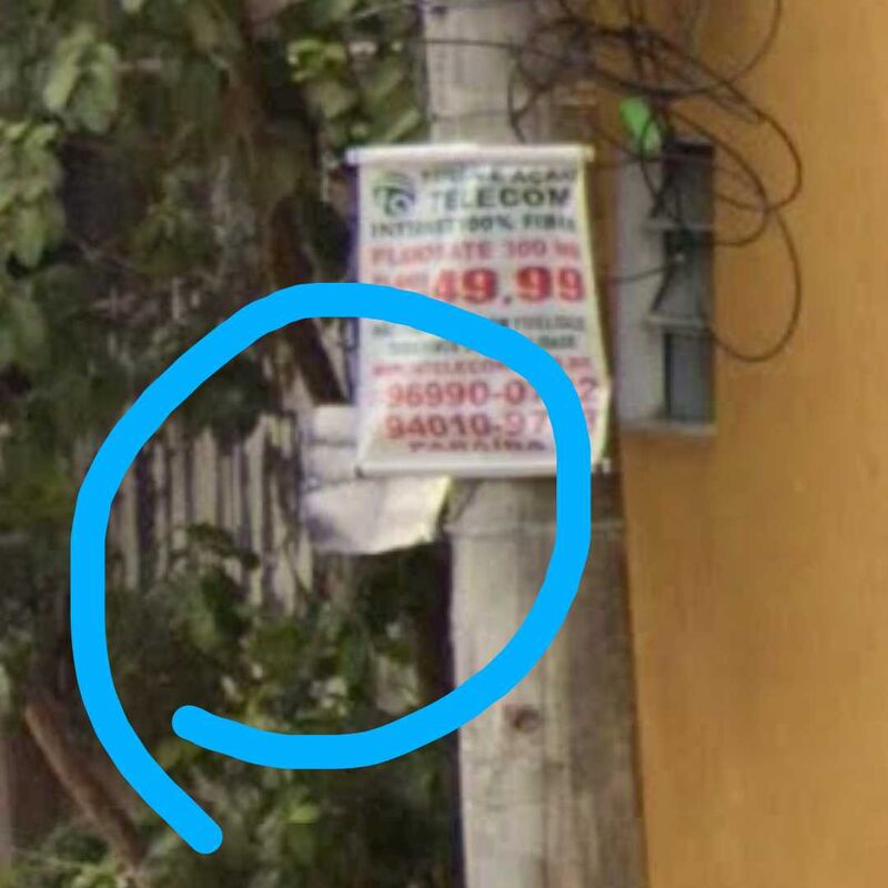 Imagem da publicação