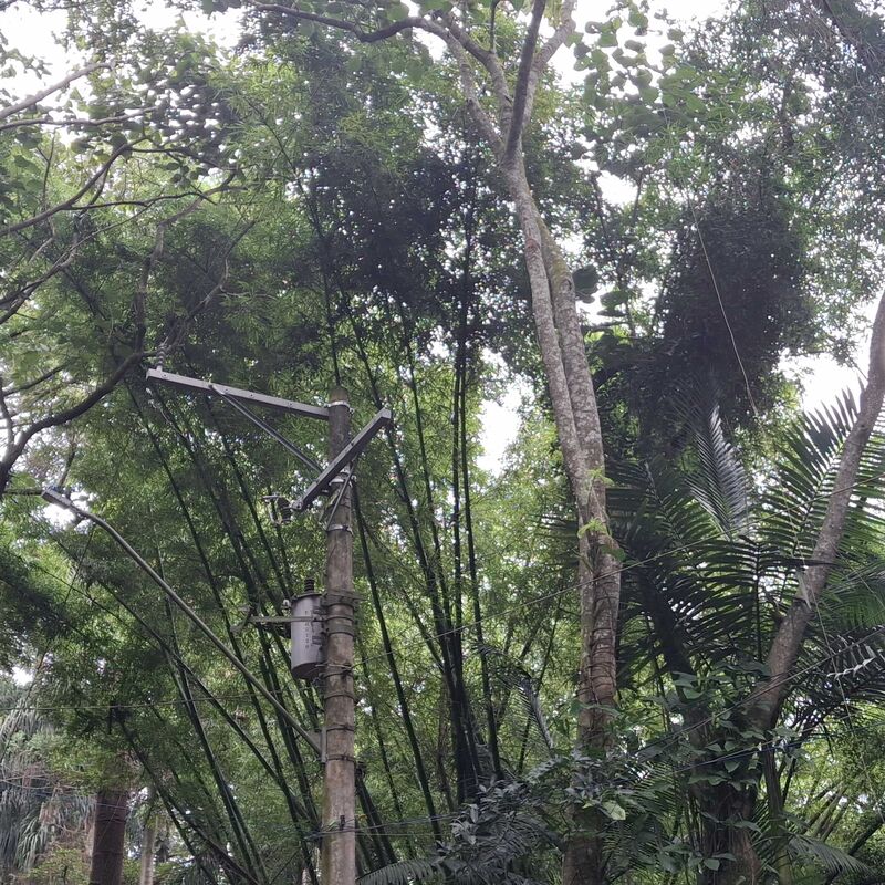 Imagem da publicação