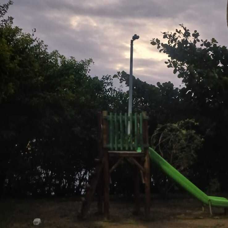 Imagem da publicação