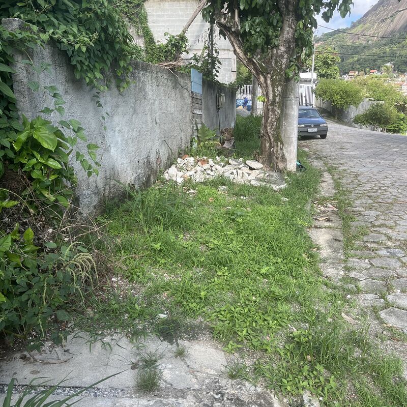 Imagem da publicação