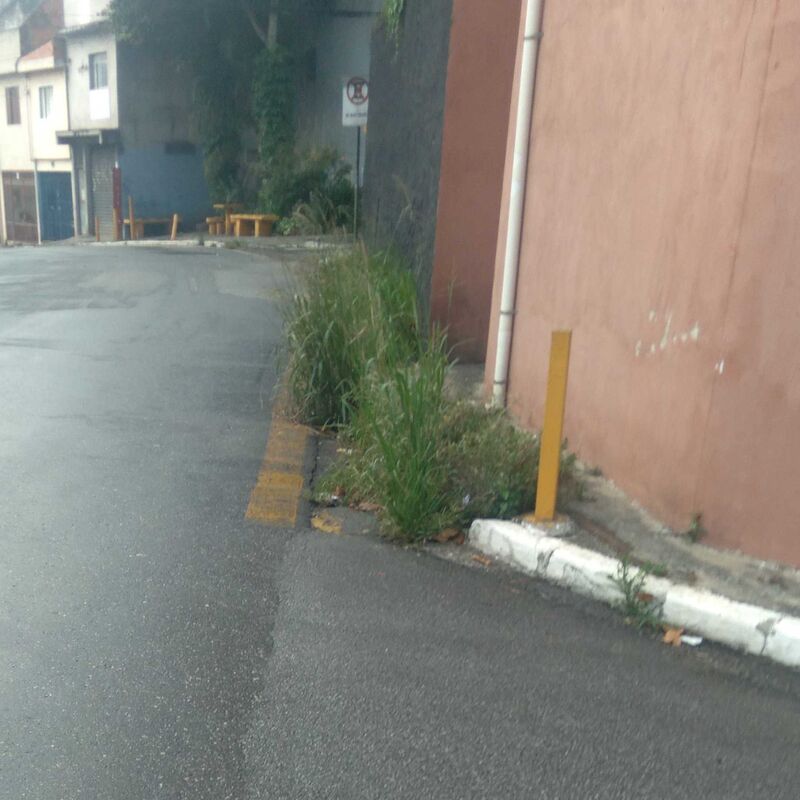 Imagem da publicação