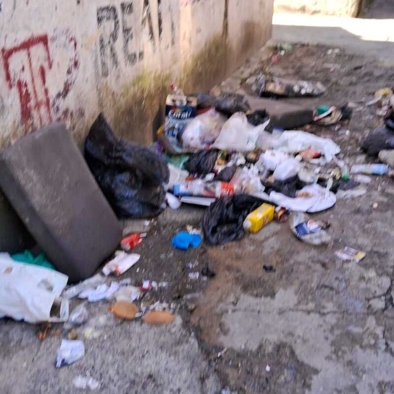 Imagem da publicação