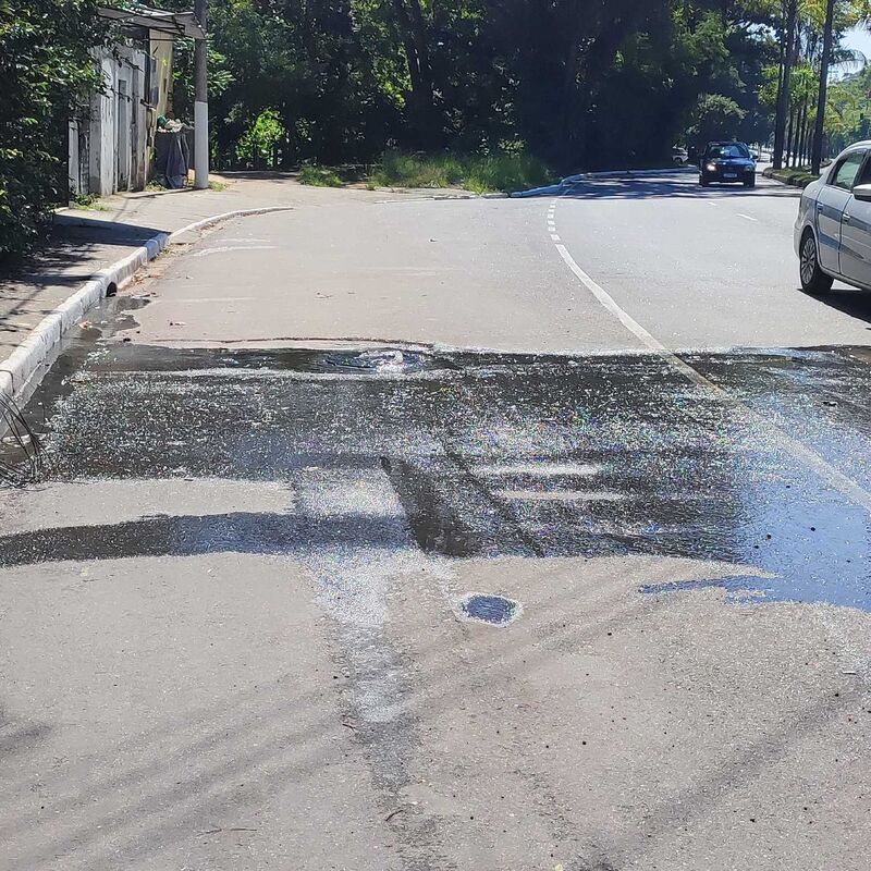 Imagem da publicação