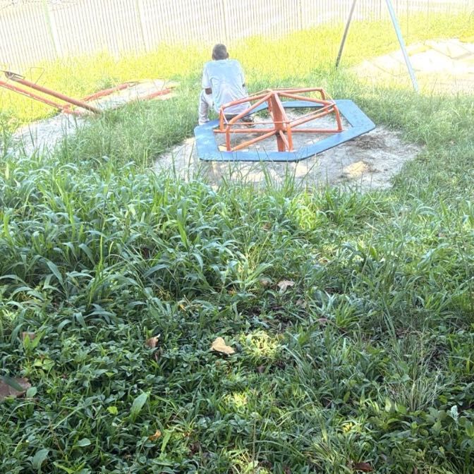 Imagem da publicação