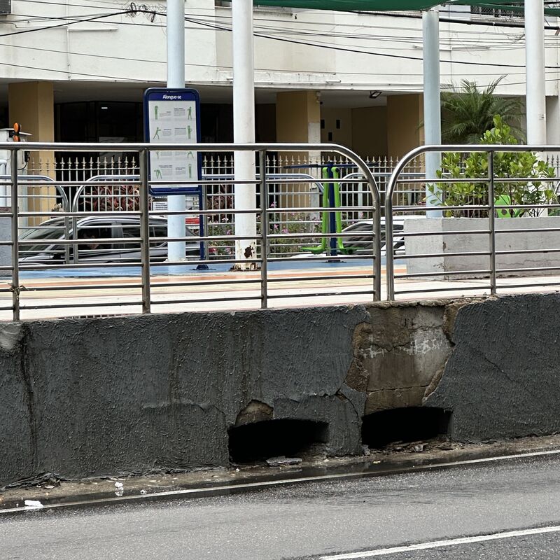 Imagem da publicação