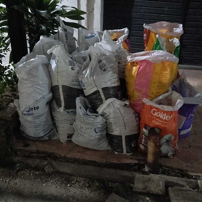 Imagem da publicação