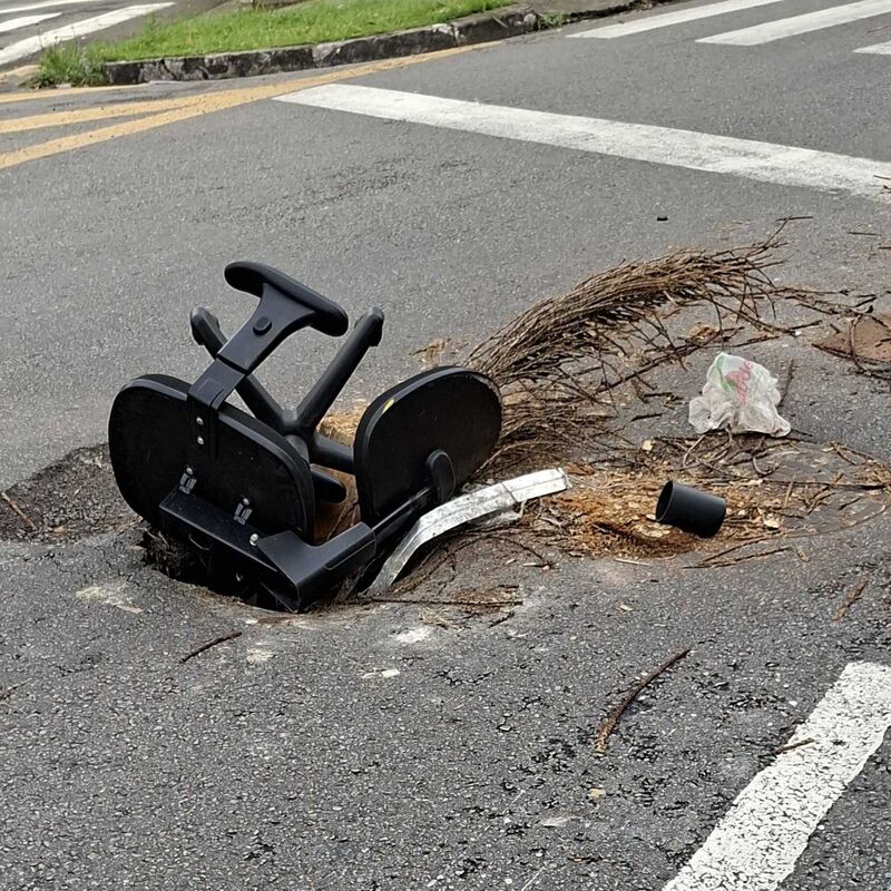 Imagem da publicação