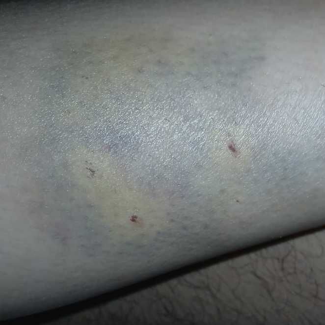 Imagem da publicação