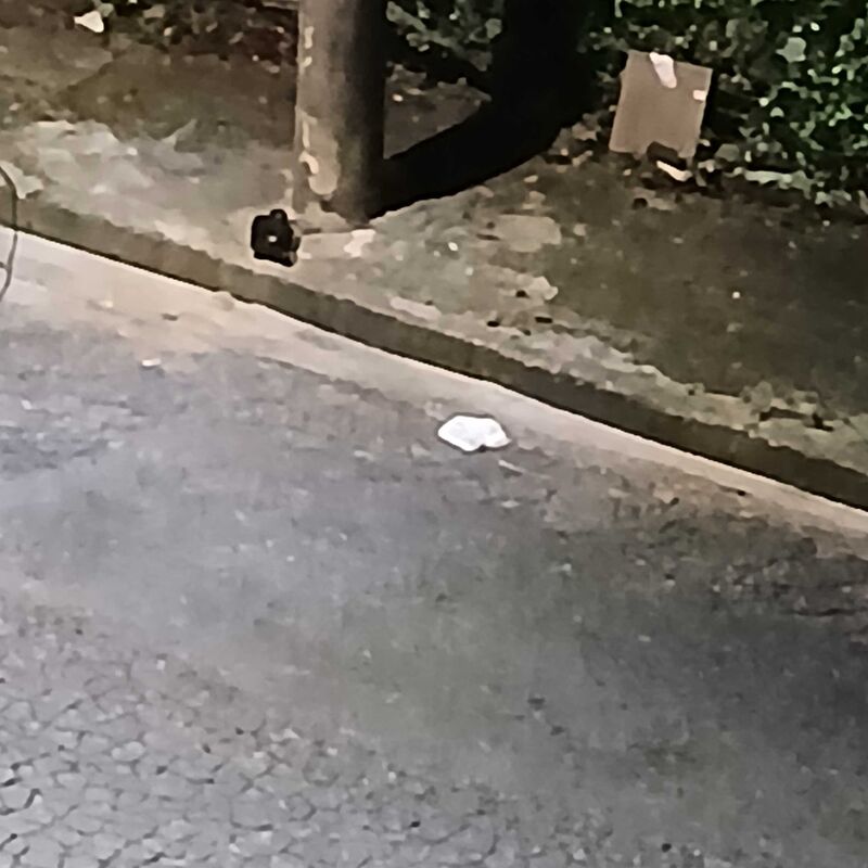 Imagem da publicação