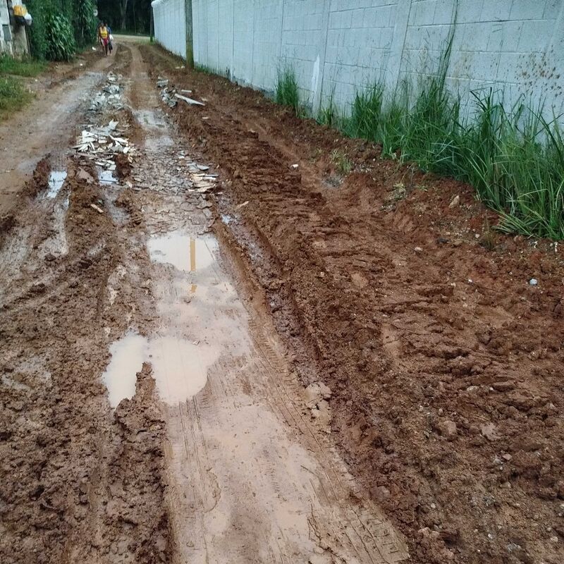Imagem da publicação