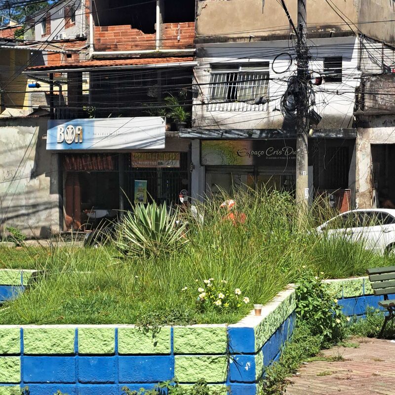 Imagem da publicação