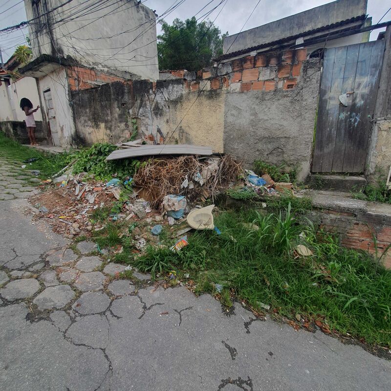 Imagem da publicação