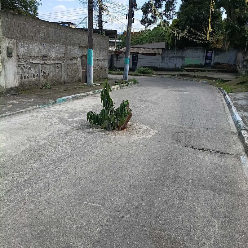 Imagem da publicação