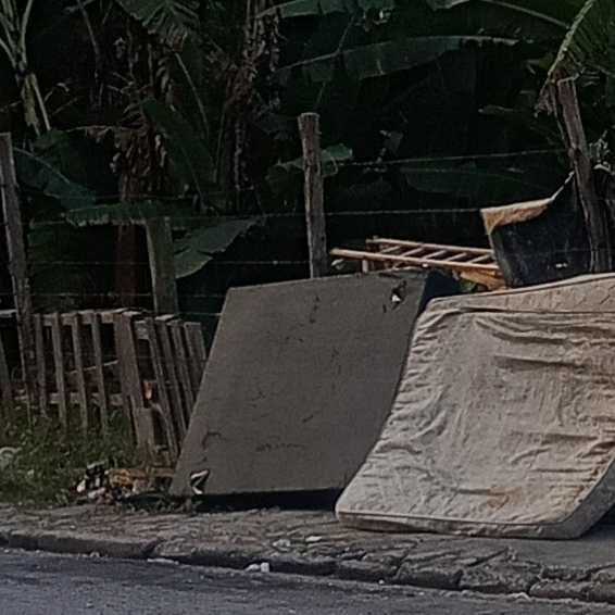 Imagem da publicação