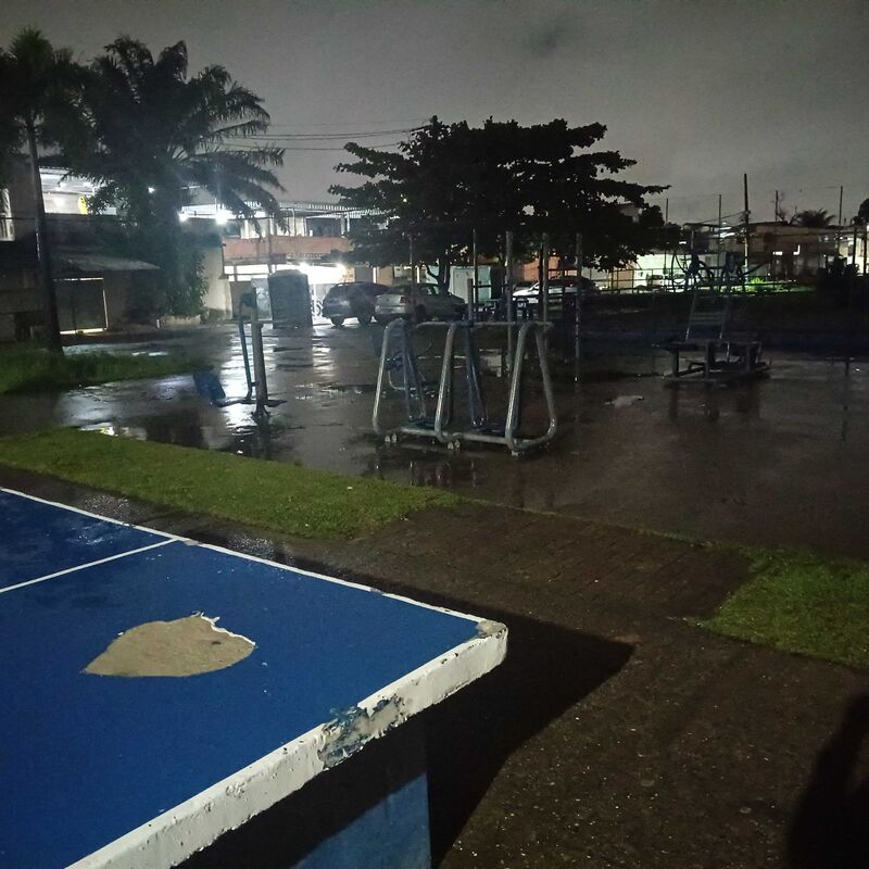 Imagem da publicação