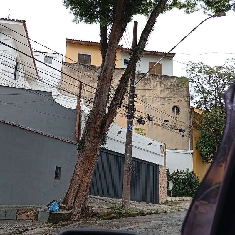 Imagem da publicação