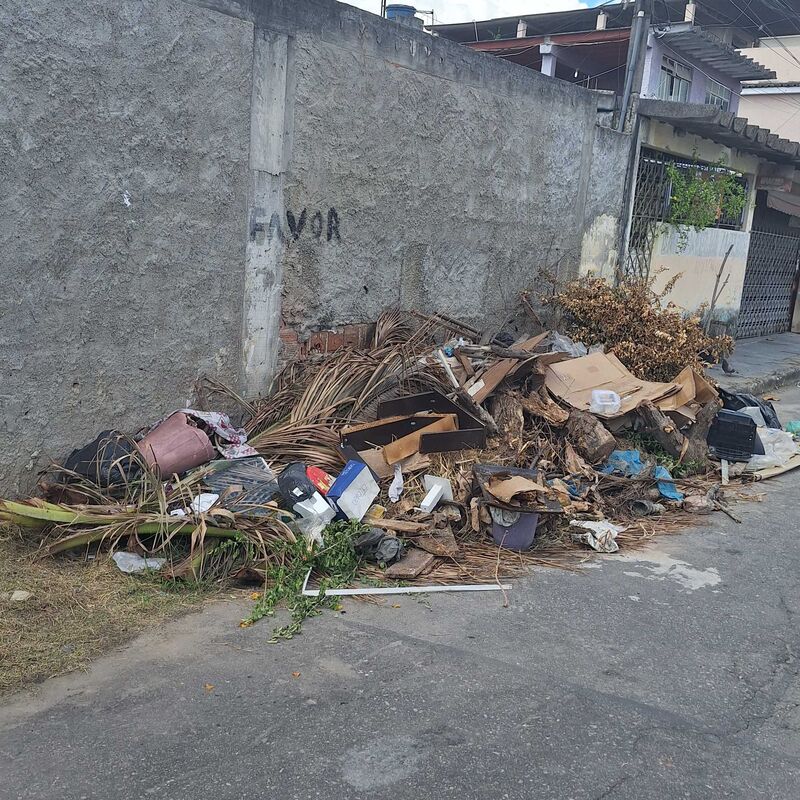 Imagem da publicação