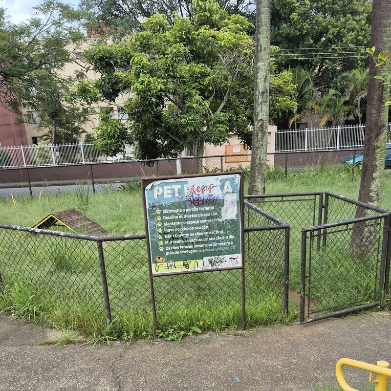 Imagem da publicação